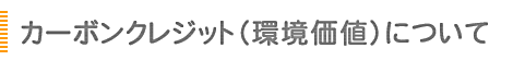 国内におけるカーボンオフセット事例