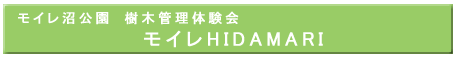 CHIDAMARI